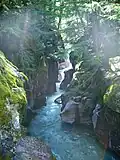 Avalanche Creek près du sentier Trail of the Cedars.