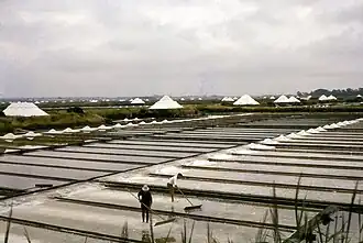 Marais salants de la Ria d'Aveiro.