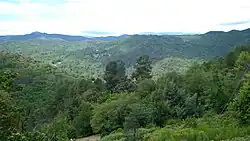 une vallée boisée