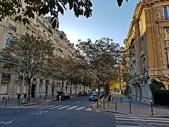 Voir la photo.