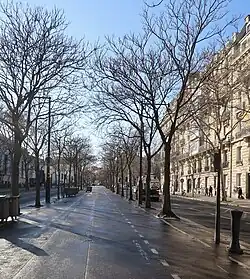 Allée centrale.