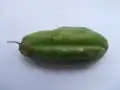 Fruit