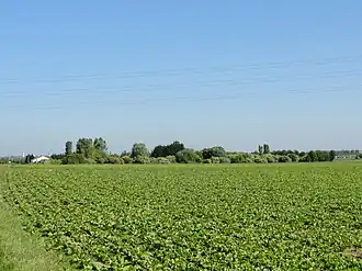 Vue du carreau.