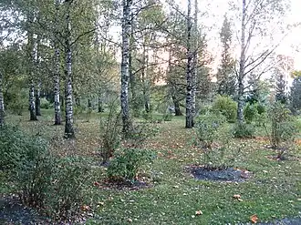 Parc Tähkäpuisto.