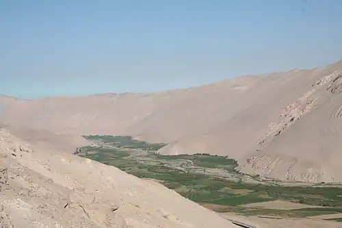 Oasis de la vallée d'Azapa.