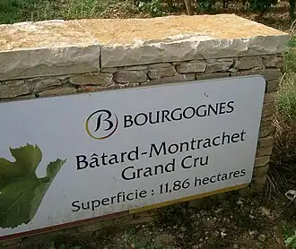 Image illustrative de l’article Bâtard-montrachet