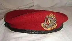 Béret rouge (amarante) portant l'insigne des parachutistes des troupes de marine.