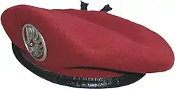 Béret de la couleur amarante des unités parachutistes.