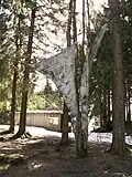 no&nbsp;4 : Waldengel (1999) - « Ange de la forêt »