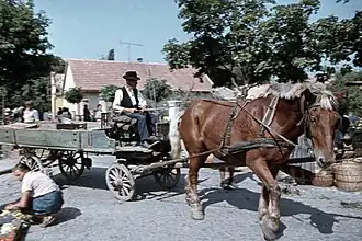 Trait hongrois à Szentendre en 1969