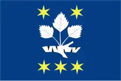 Drapeau de Březejc