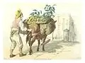 Dessin d'un homme avec un âne vendant des fruits
