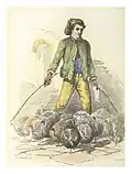 Homme avec un bâton dans chaque mains pour diriger un groupe de 11 poules