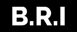 Image illustrative de l’article Brigade de recherche et d'intervention (Algérie)