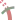extSTR+4e