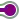 hKBHFeq violet