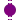 tBHF violet