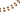 tSTRr+1 brown
