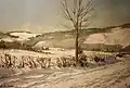 Neige dans la vallée de l'Ourthe