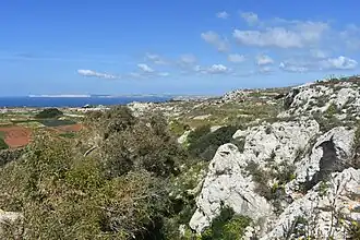 Image illustrative de l’article Baħrija