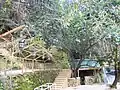 Escalier pour accéder du parking au restaurant en traversant la rivière et les cascades