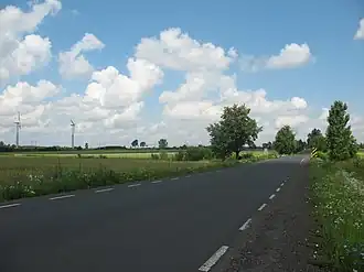 Baby (Piotrków)