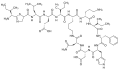 Bacitracine, isopeptide cyclique produit notamment par Bacillus licheniformis