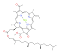 Bactériochlorophylle b