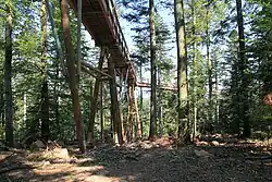 Le chemin suspendu du Baumwipfelpfad Schwarzwald.