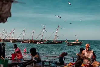 Bateaux de pêche.