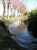 Un bras de l'Antenne à Bagnizeau.