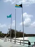 Hampe de drapeau