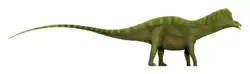 Reconstitution de l'apparence d'un Bajadasaurus, à partir de celle d'un  Amargasaurus et des différences connues entre les deux genres.