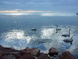 Lac Balaton.