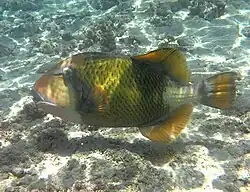 A La Réunion