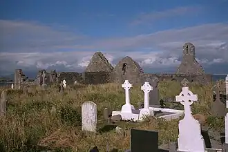 Photographie en couleurs d'un cimetière parsemé de végétation, les ruines d'un bâtiment religieux visibles au second plan.