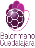 Logo actuel