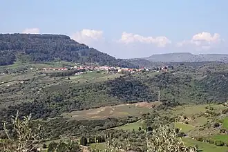 Banari