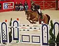 Kevin Staut et Banda de Hus, lors CSIW-5* d'Equita'Lyon (octobre 2011).