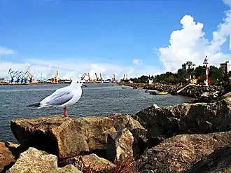 Bandar-e Anzali