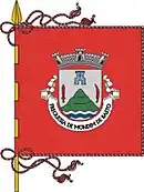 Drapeau de São Cristóvão de Mondim de Basto