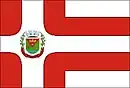 Drapeau de Bias Fortes