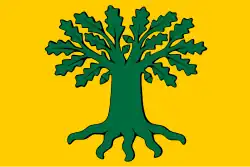 Drapeau de Carballo