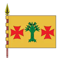 Drapeau de Oímbra