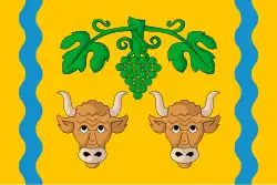 Drapeau de Punxín
