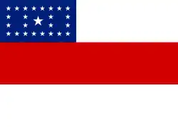 Drapeau de l'Amazonas