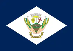 Meleiro