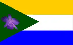 Drapeau de San José de Bolívar