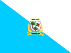 Drapeau de Paillacoville et commune du Chili