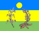 Drapeau de Pedro Gual